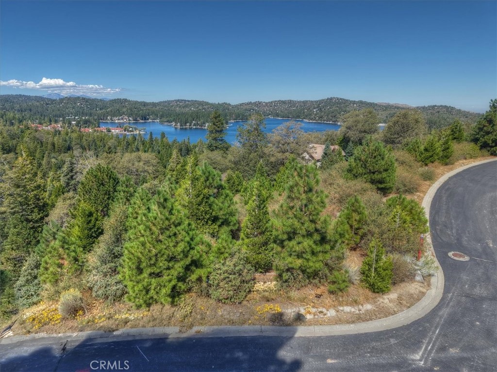 202 Hidden Forest Property Photo 7