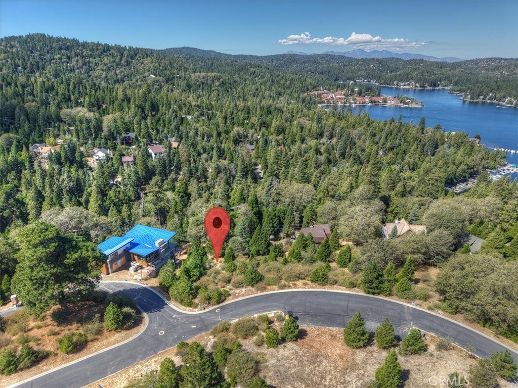 202 Hidden Forest Property Photo 8