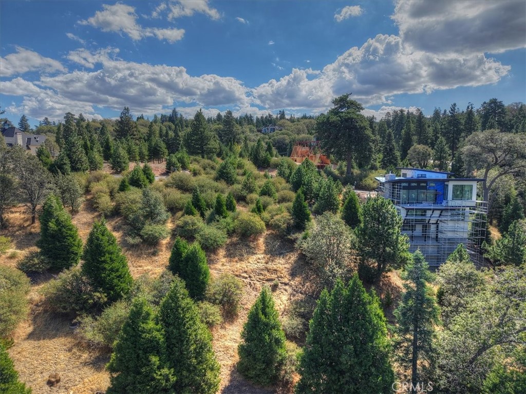 202 Hidden Forest Property Photo 10