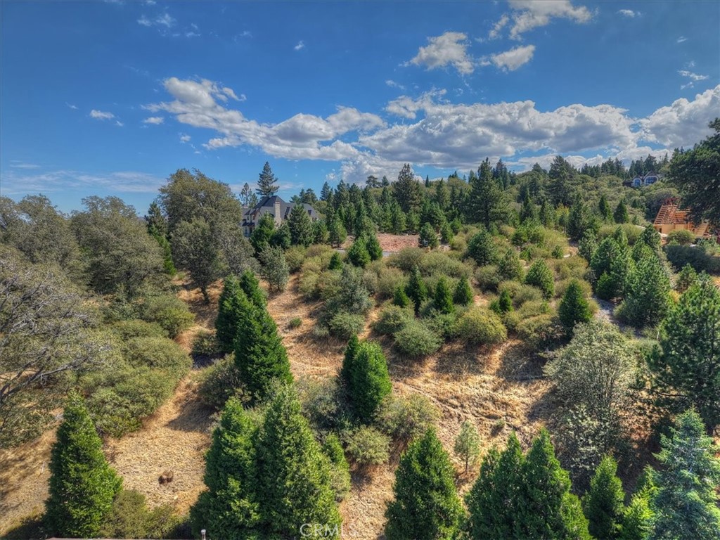 202 Hidden Forest Property Photo 11