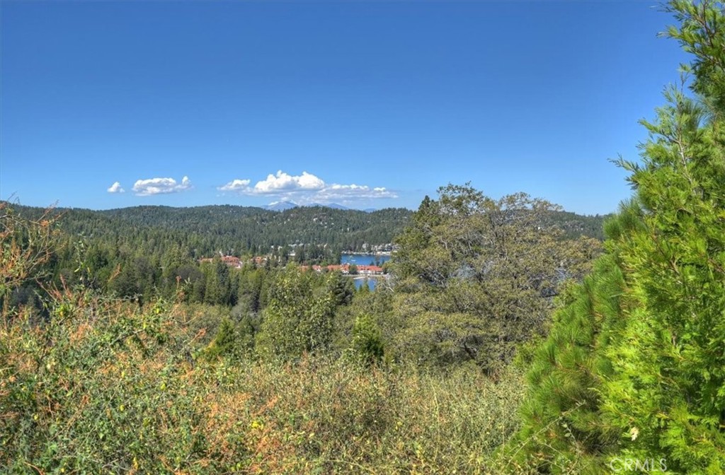 202 Hidden Forest Property Photo 15