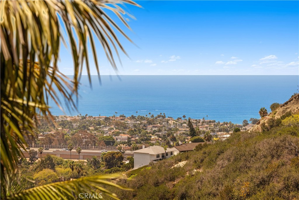 525 E Avenida San Juan Property Photo 39