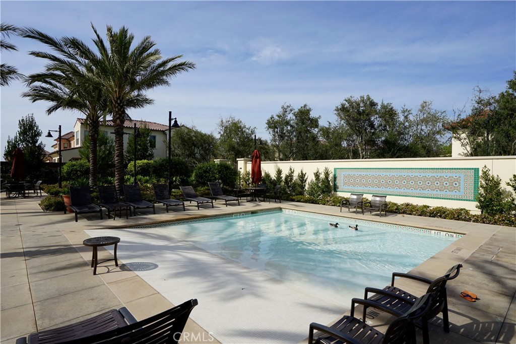 134 Canvas Property Photo 18