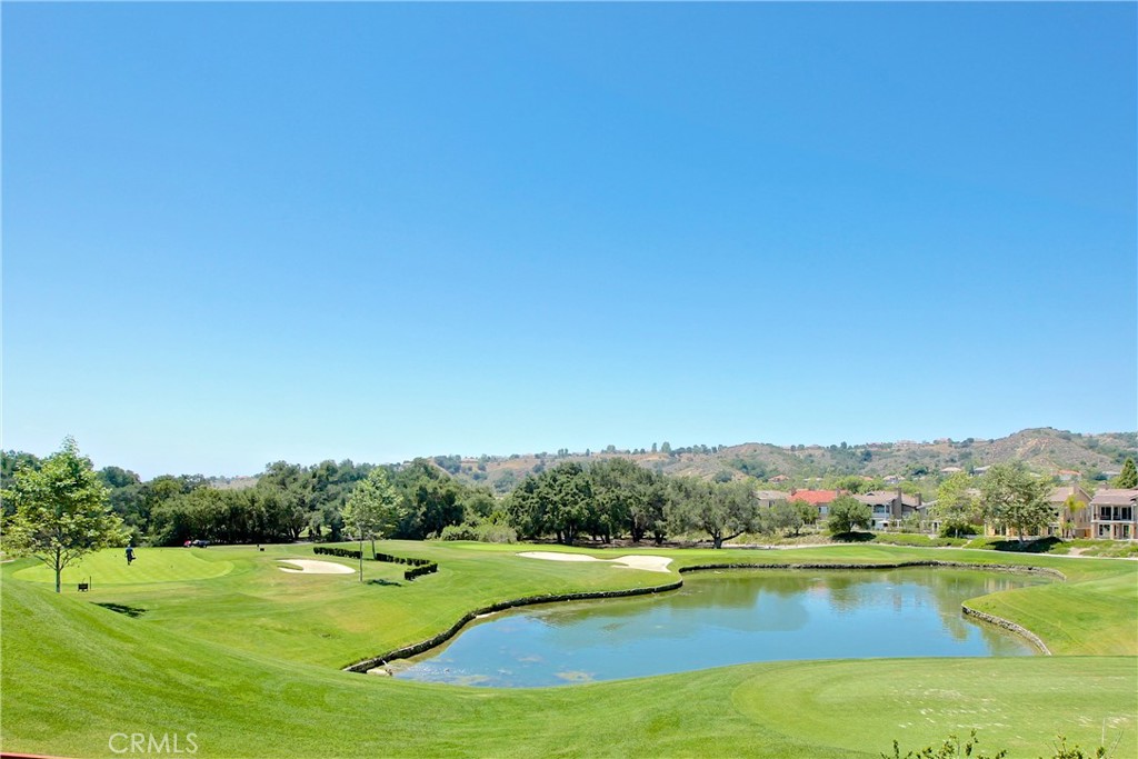 20 Brassie Property Photo 39