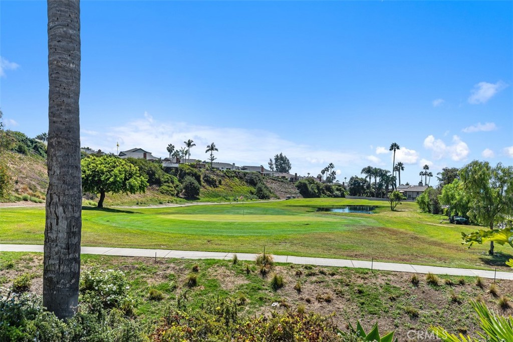 2820 Via Montecito Property Photo 41