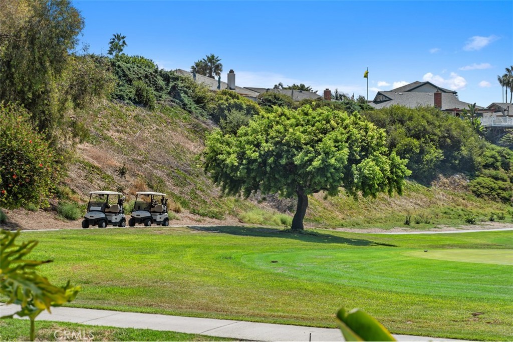 2820 Via Montecito Property Photo 42
