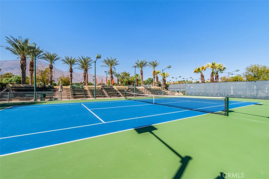 60585 Desert Rose Drive Property Photo 39