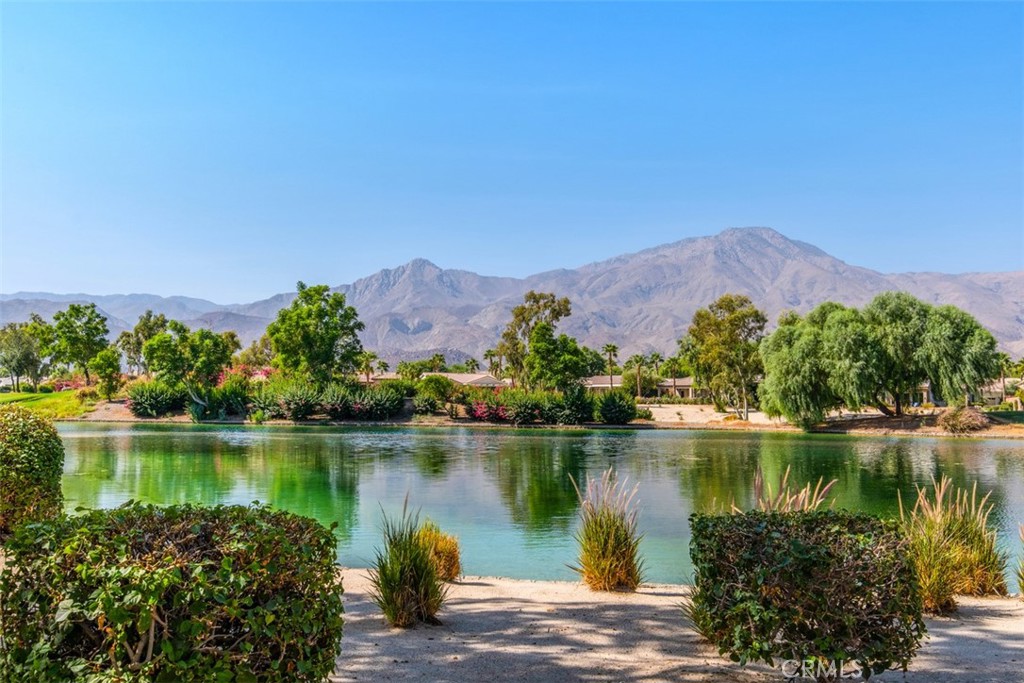 60585 Desert Rose Drive Property Photo 40