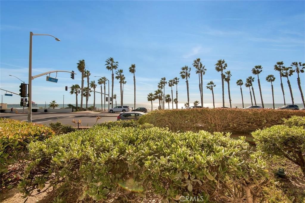900 Pacific Coast Property Photo 16