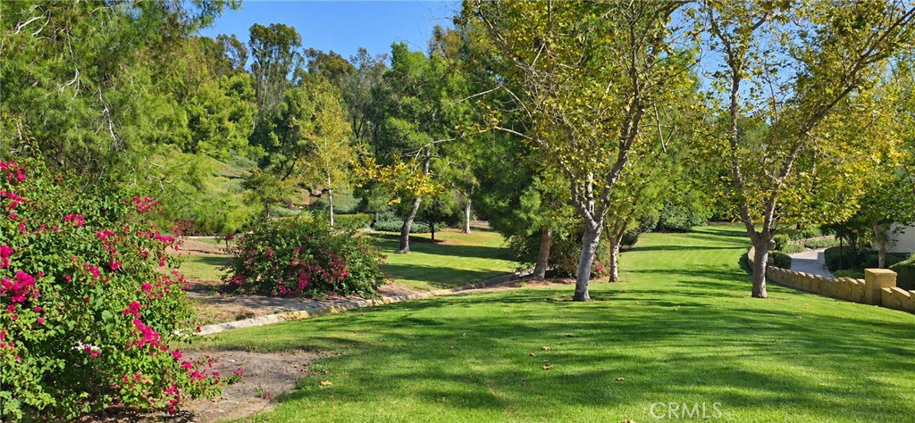 23294 Copante 89 Property Photo 7