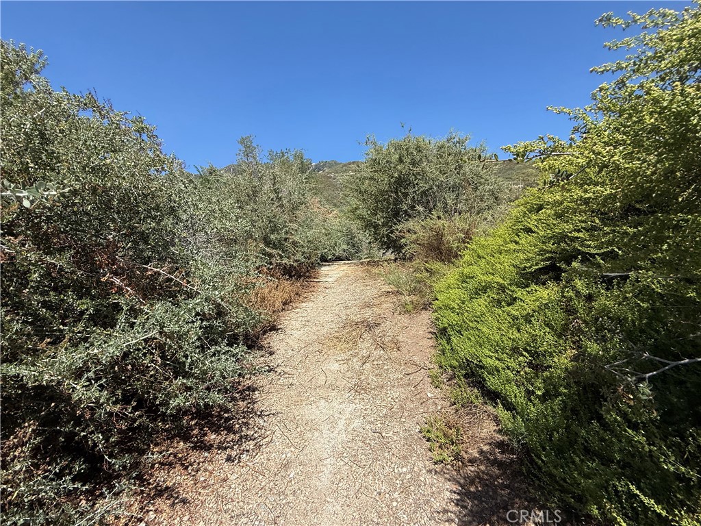 23680 Hillview Road Property Photo 7