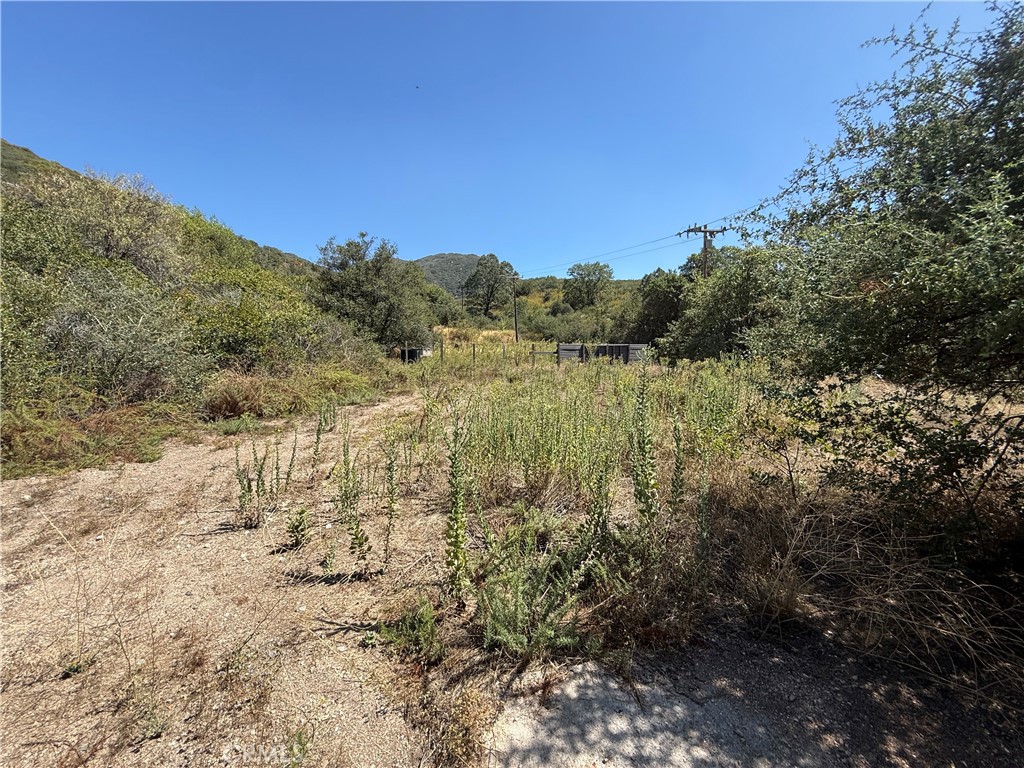23680 Hillview Road Property Photo 8