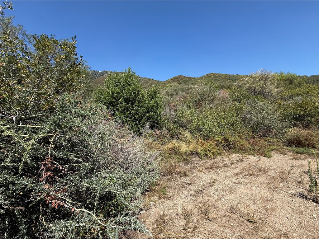 23680 Hillview Road Property Photo 9