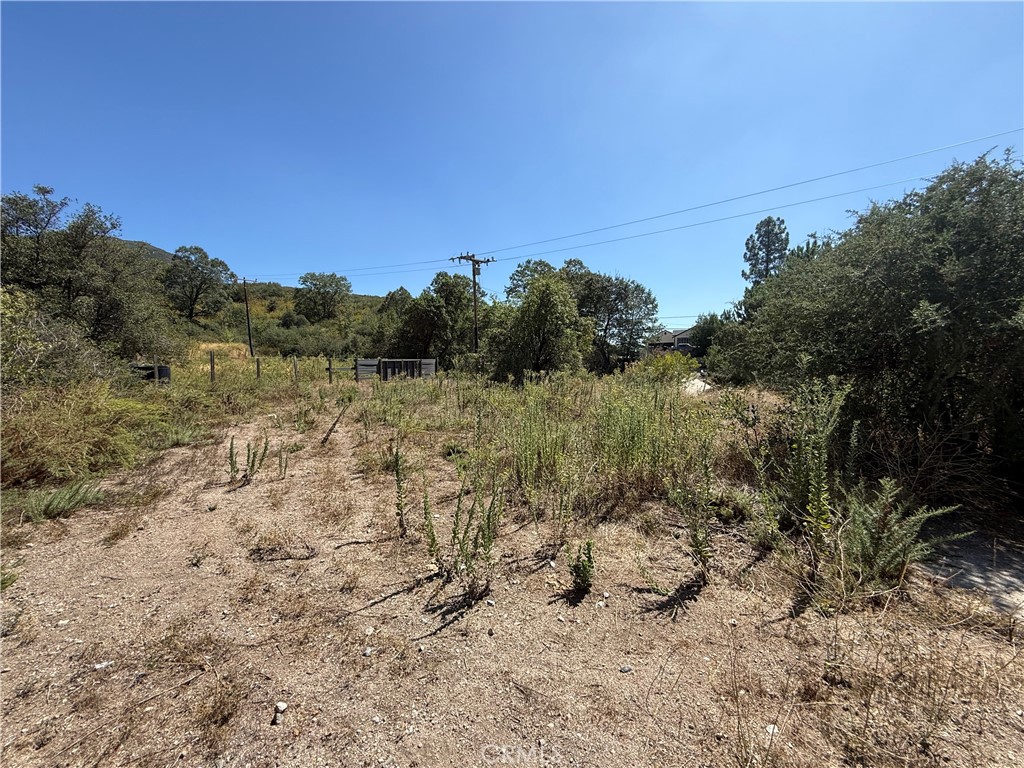 23680 Hillview Road Property Photo 10
