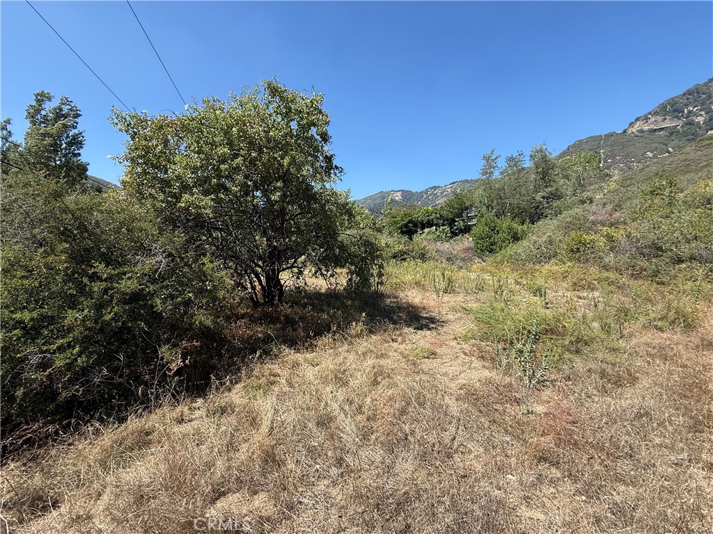 23680 Hillview Road Property Photo 12