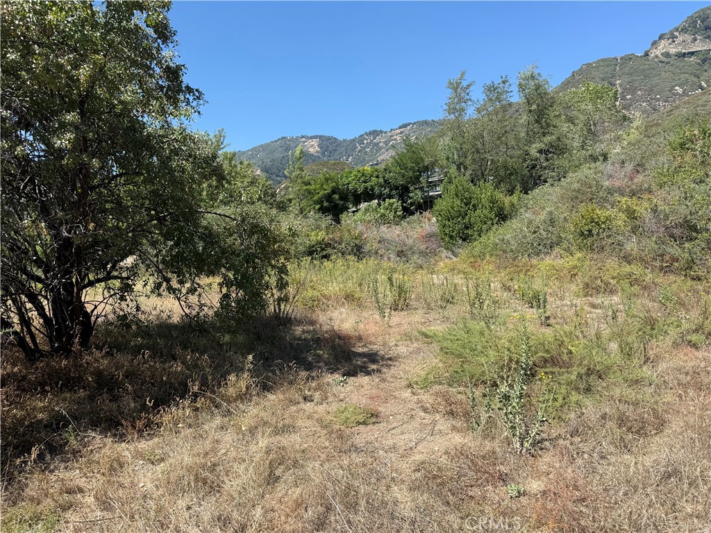 23680 Hillview Road Property Photo 13