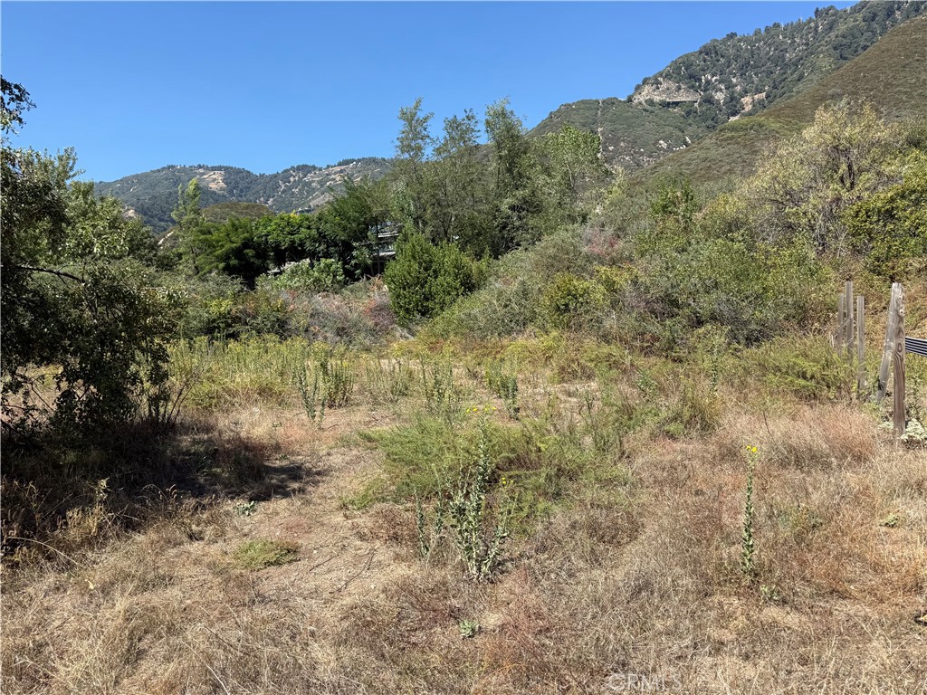 23680 Hillview Road Property Photo 14