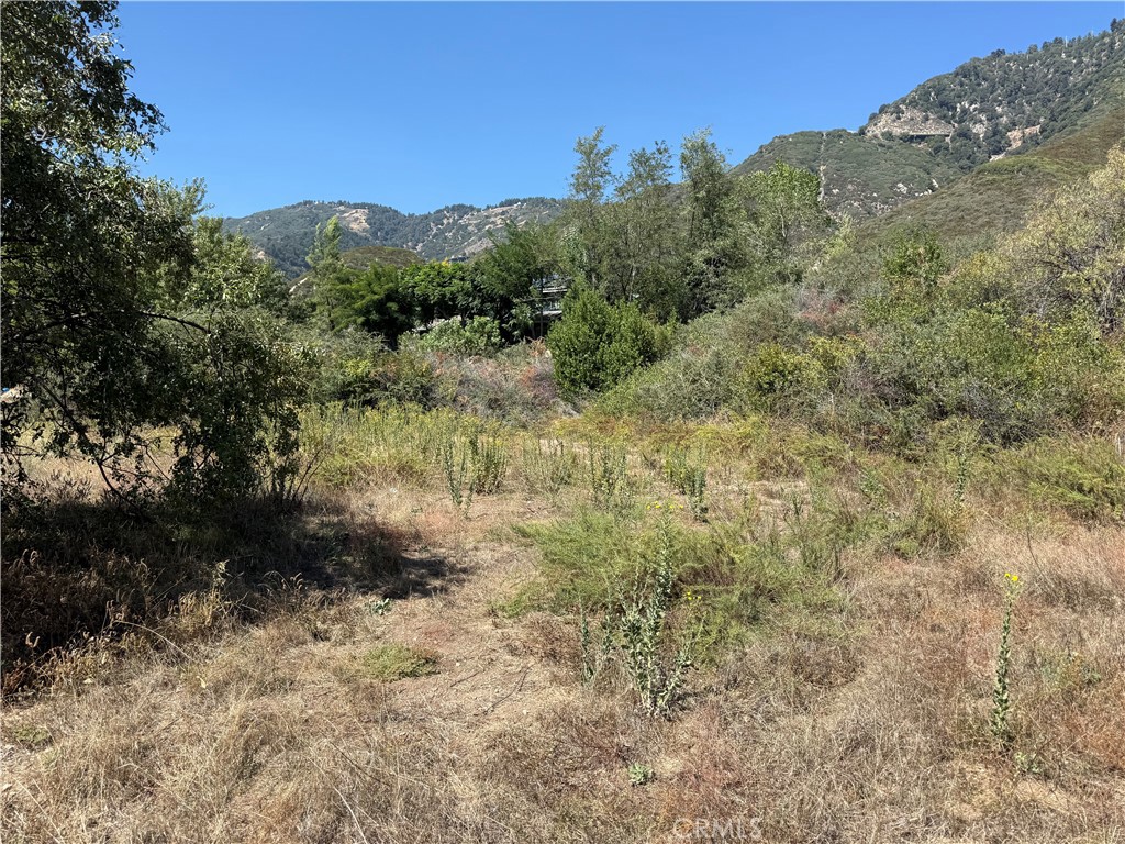 23680 Hillview Road Property Photo 15