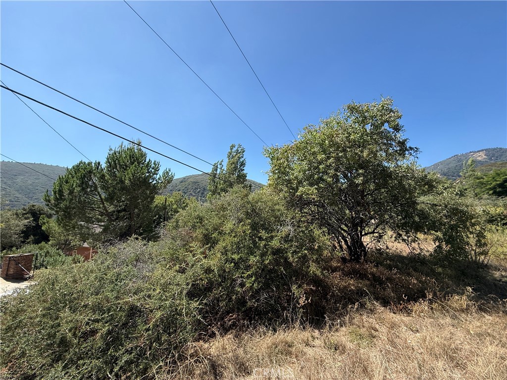23680 Hillview Road Property Photo 17