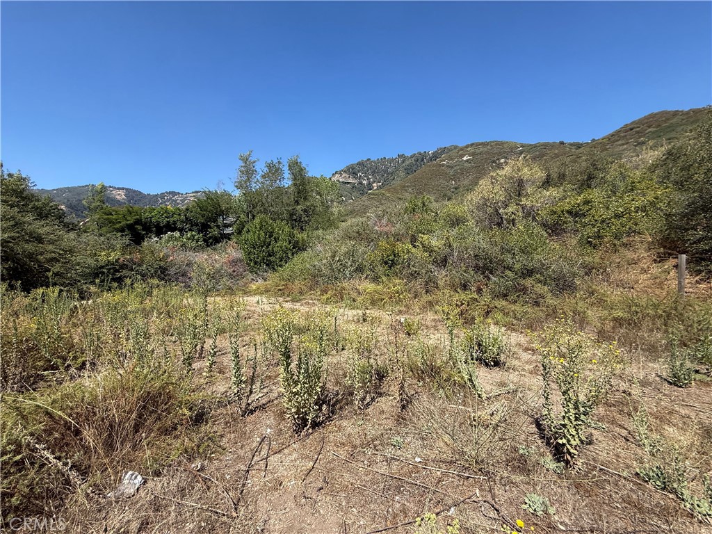 23680 Hillview Road Property Photo 20