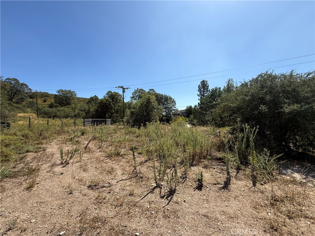 23680 Hillview Road Property Photo 21