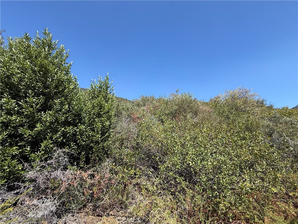 23680 Hillview Road Property Photo 23