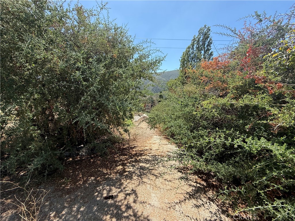 23680 Hillview Road Property Photo 24