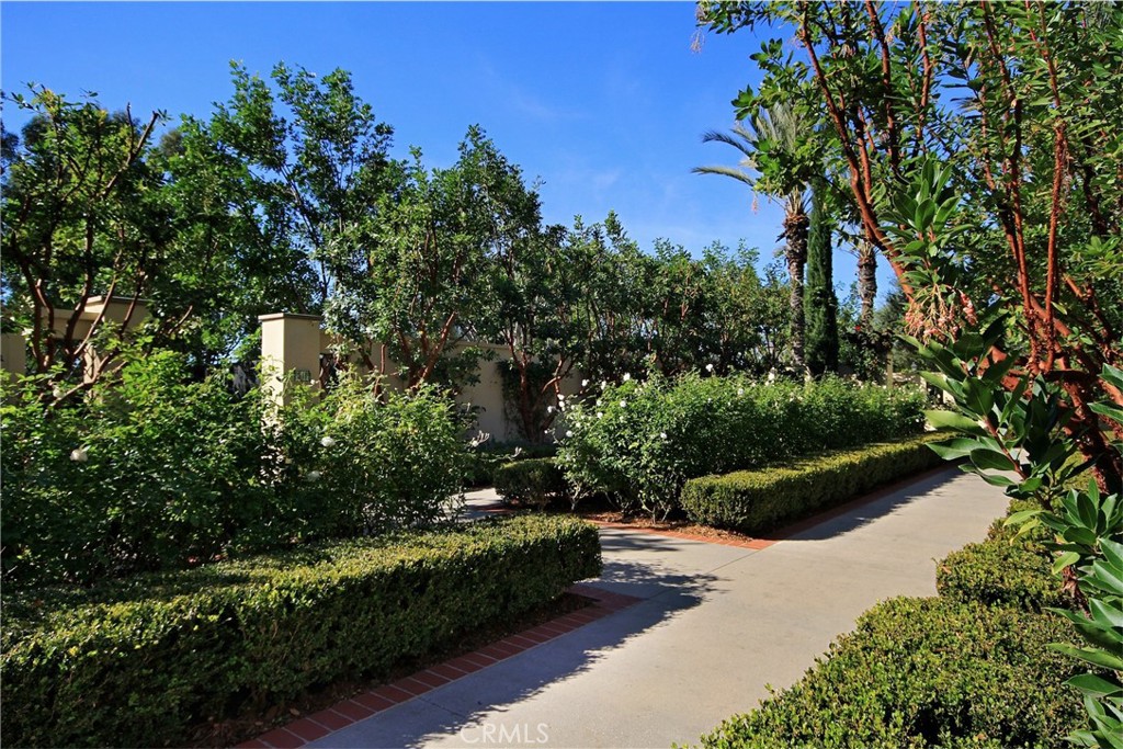 51 Regal Property Photo 39