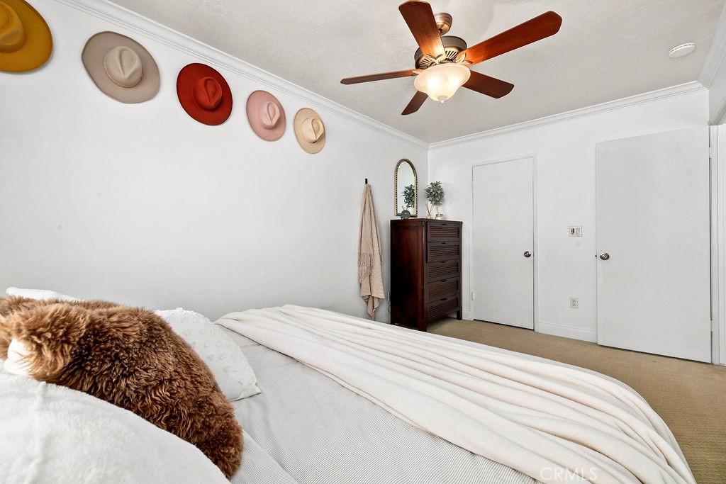 6711 Sun C Property Photo 15