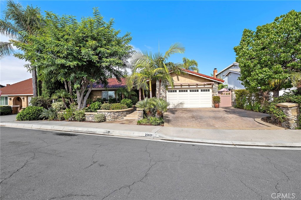 23631 Amalia Property Photo 8