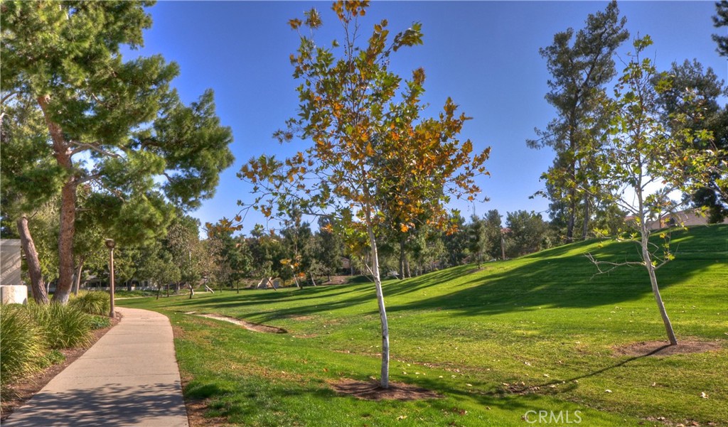 28122 Carpenteria Court Property Photo 43