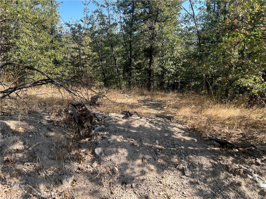 0 Lone Pine Dr. Property Photo 1