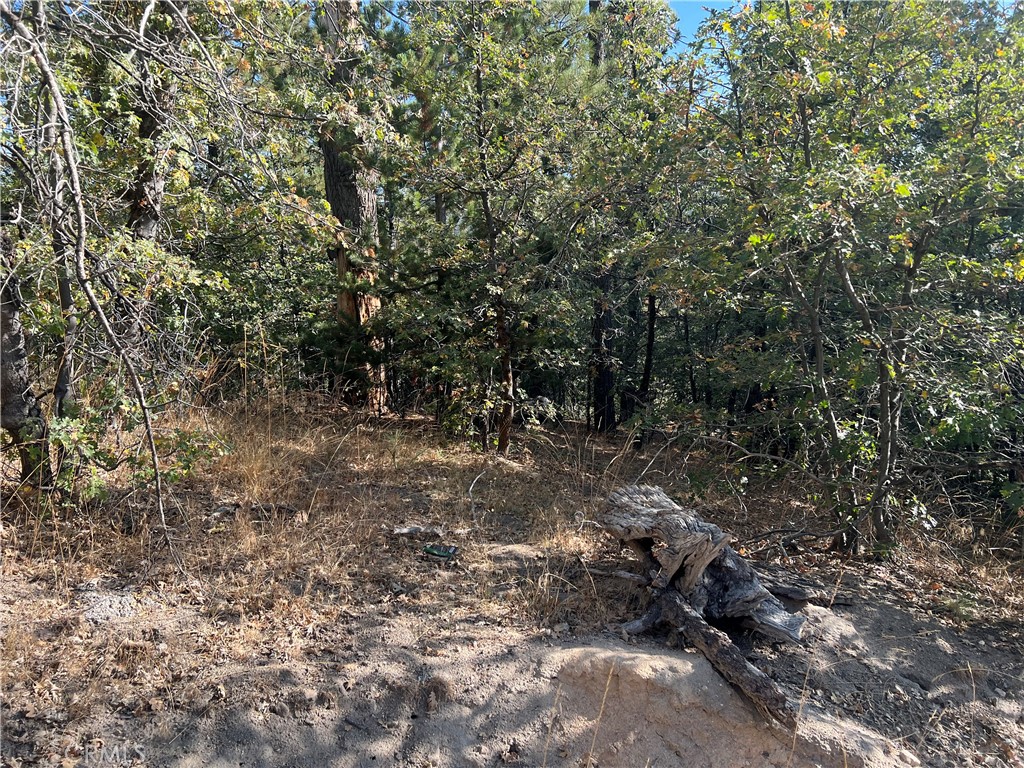 0 Lone Pine Dr. Property Photo 2