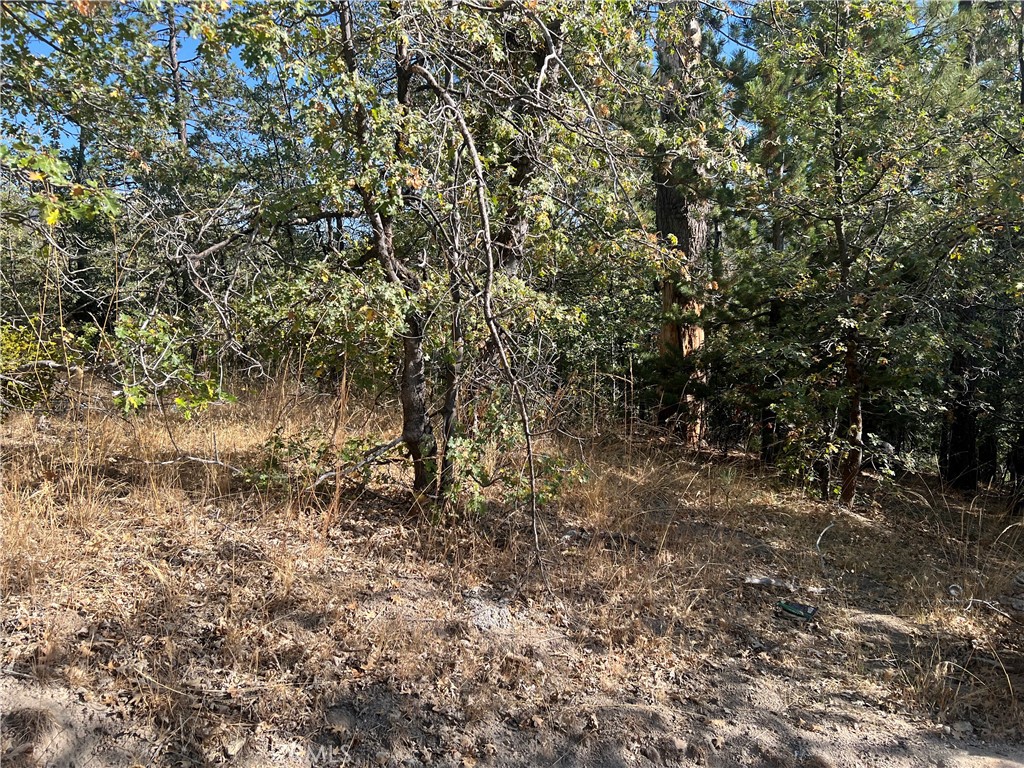 0 Lone Pine Dr. Property Photo 3