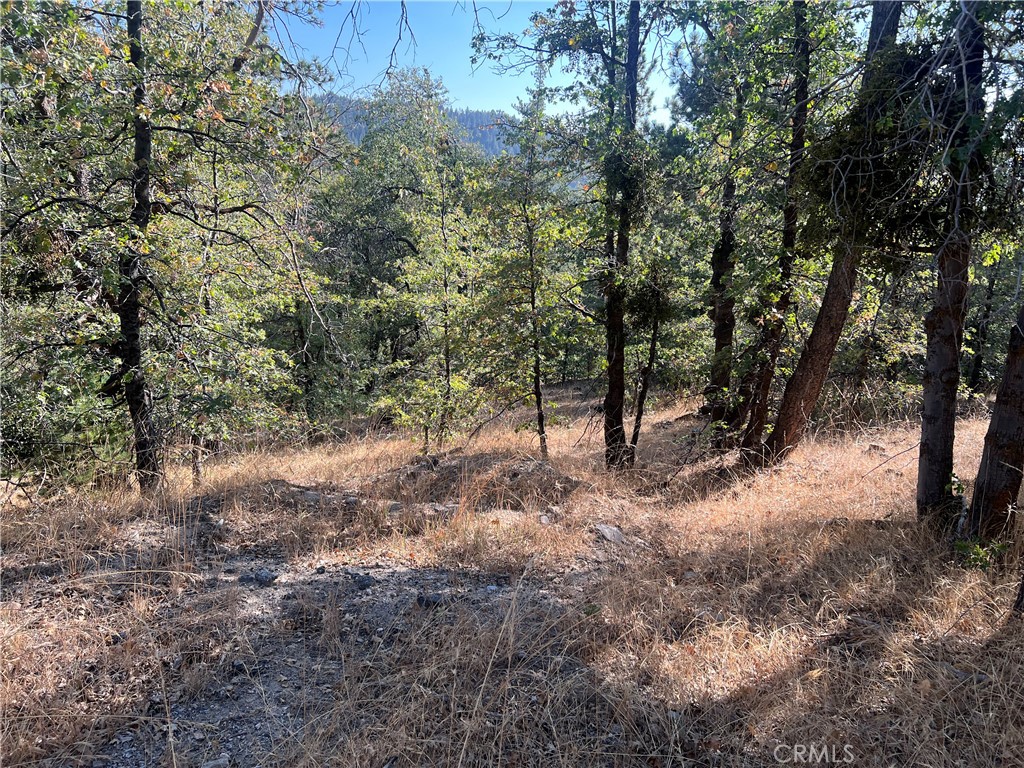 0 Lone Pine Dr. Property Photo 4