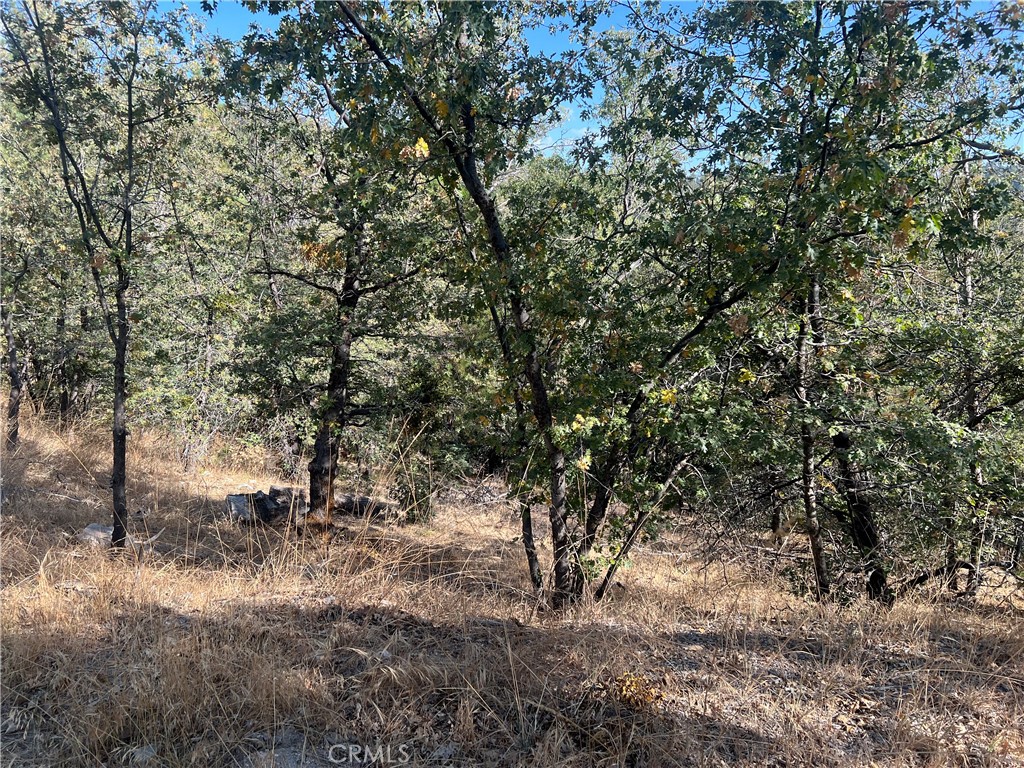 0 Lone Pine Dr. Property Photo 6