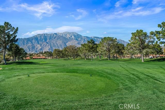 9649 Spyglass 92 Property Photo 21