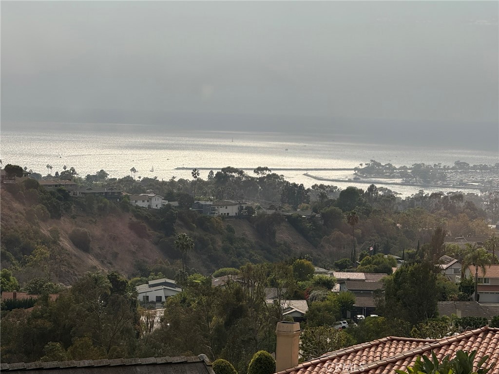 33801 Glocamora Property Photo 4