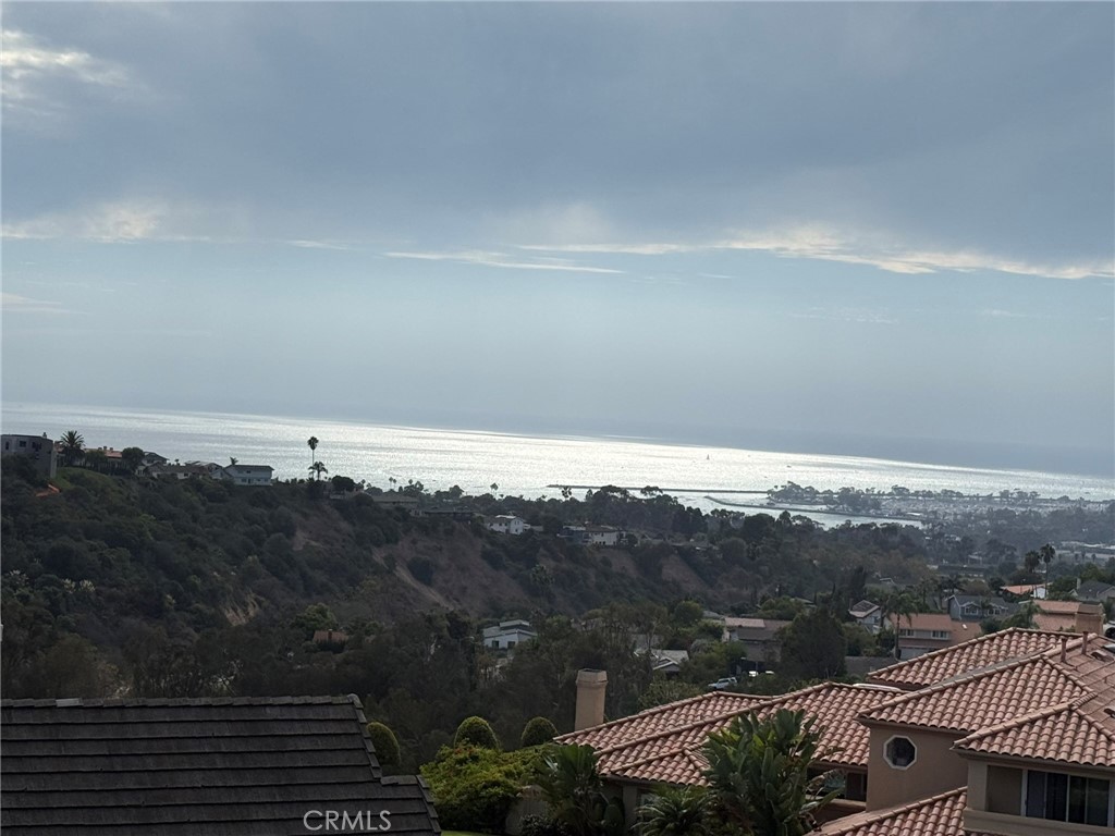 33801 Glocamora Property Photo 7