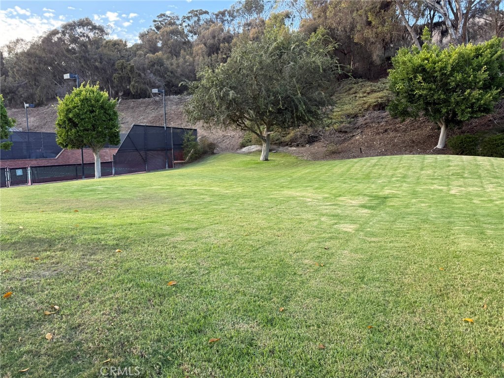 33801 Glocamora Property Photo 41