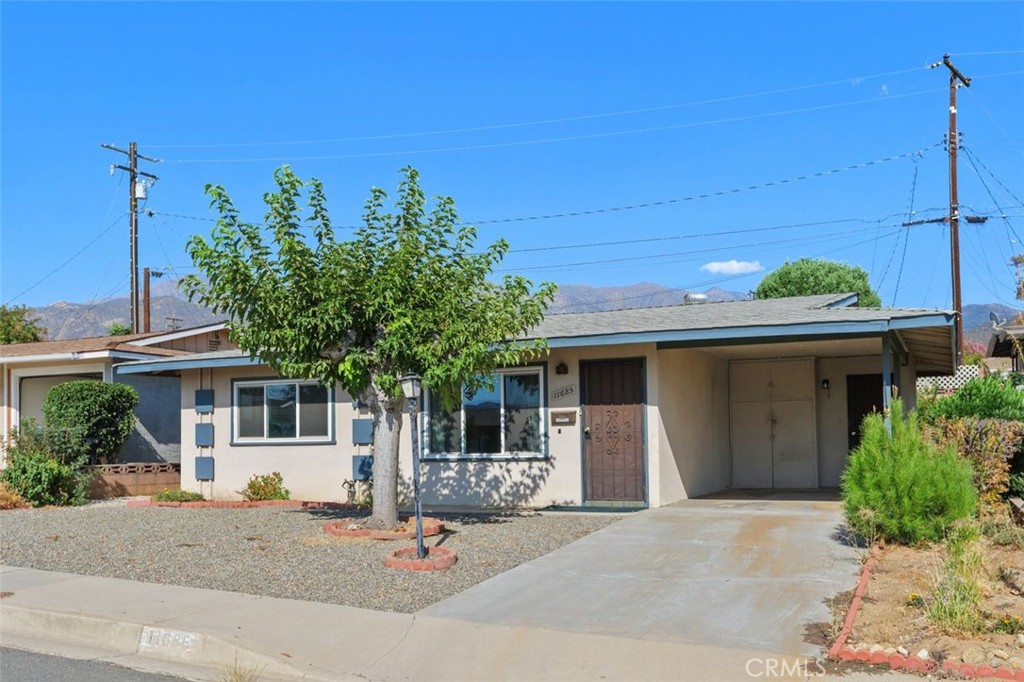 11685 Verona Property Photo 2
