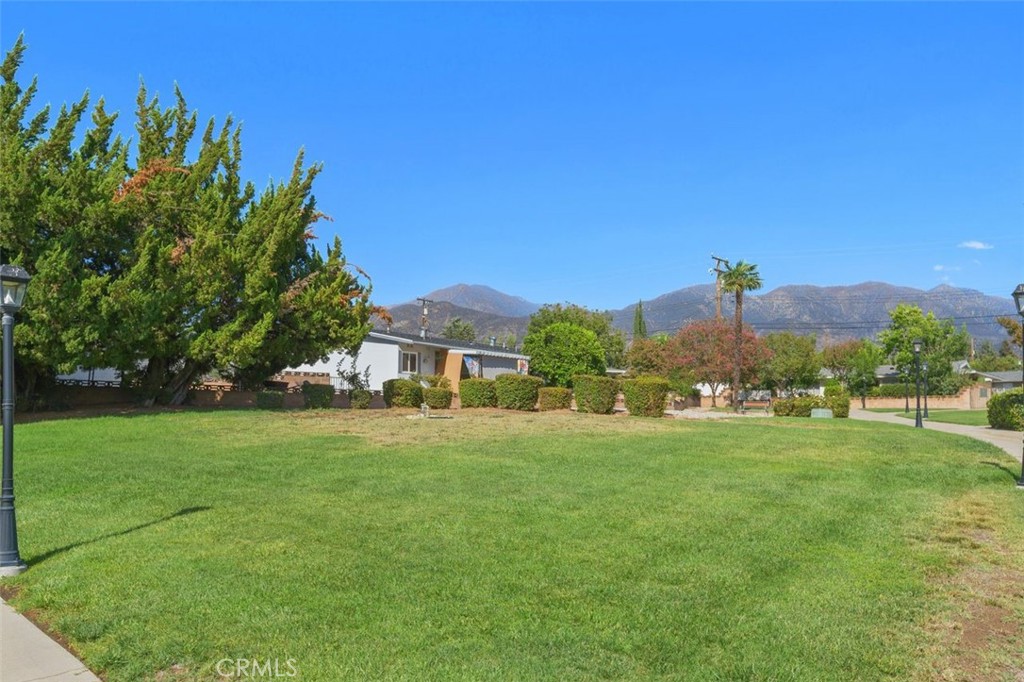 11685 Verona Property Photo 24