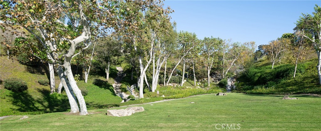 36 Vienna Property Photo 42