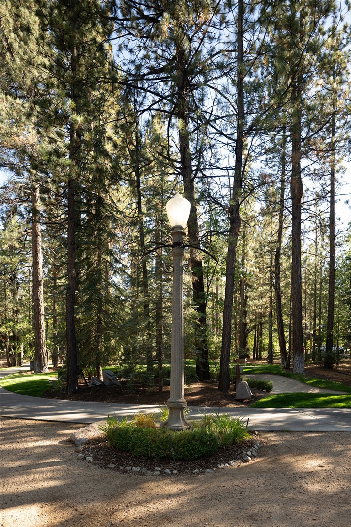 42388 Switzerland Drive Property Photo 70
