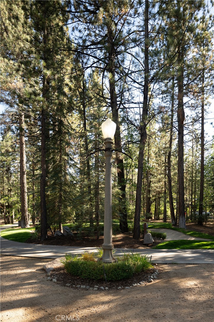 42388 Switzerland Drive Property Photo 70