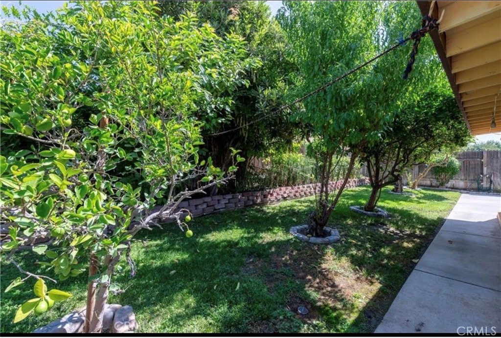 1087 Serena Property Photo 18