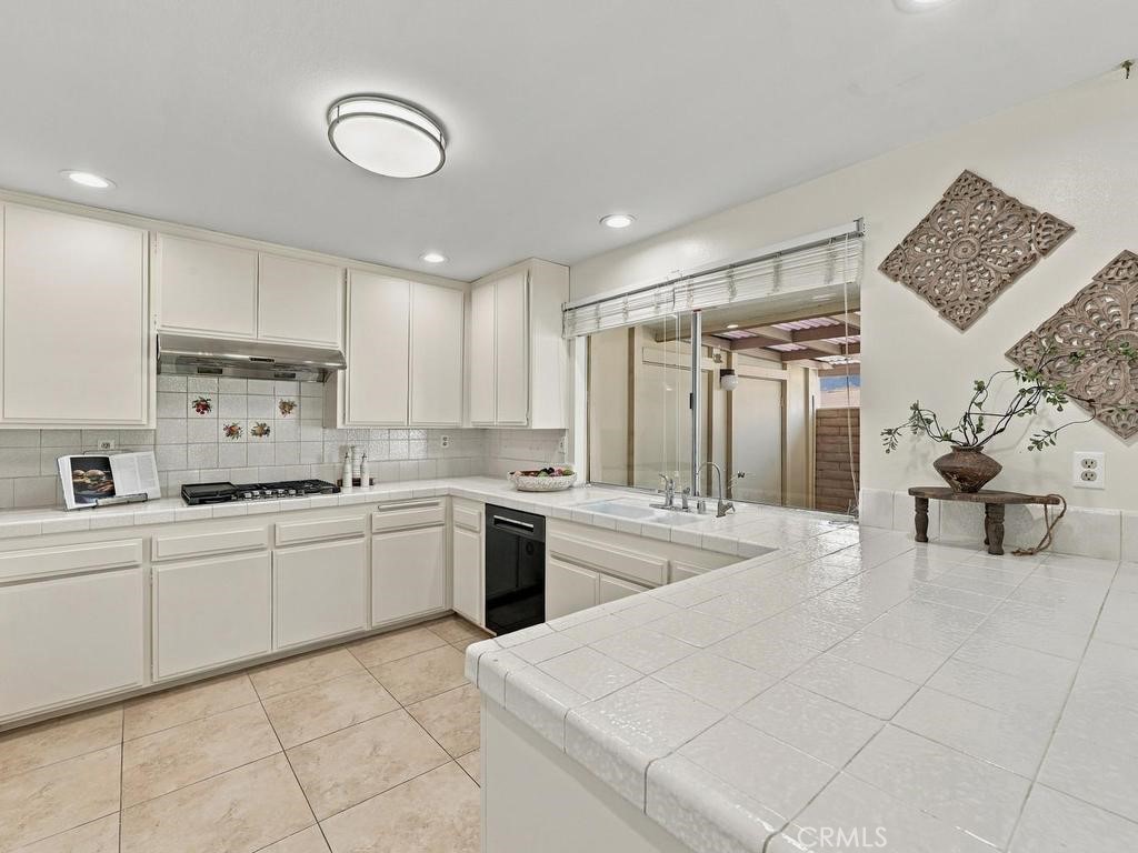 27121 Via Chiquero B Property Photo 11