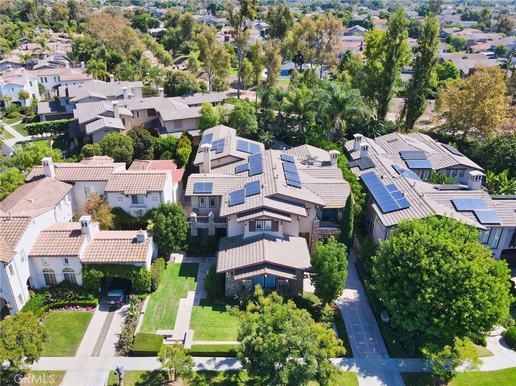 32 Canyonwood