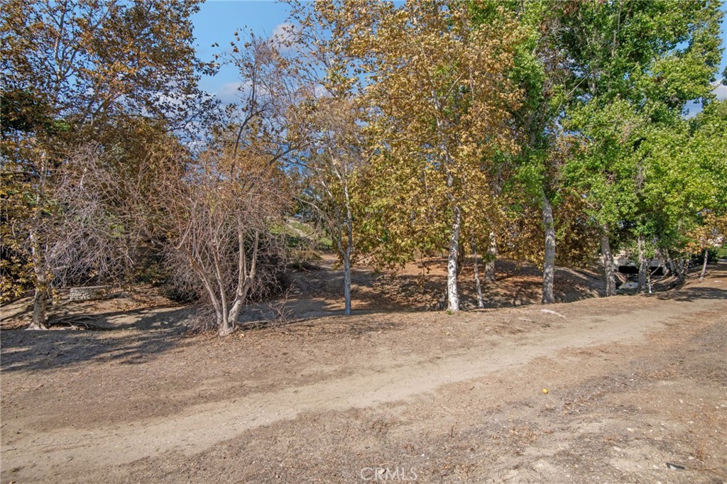 108 Pinetree Court Property Photo 55