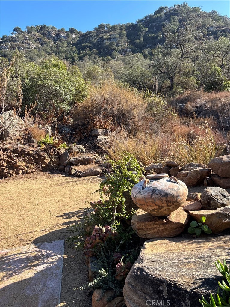 14549 Woods Valley Property Photo 4